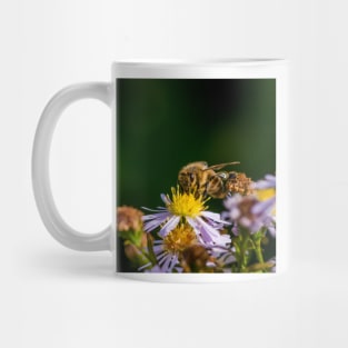 Bee 14 Mug